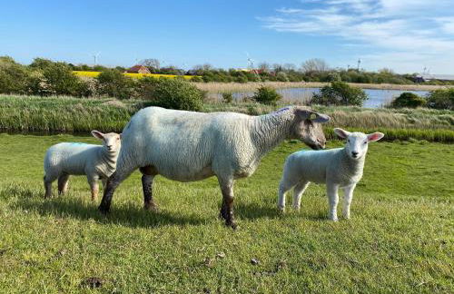Ferienwohnung Nr 4 - Foto 10