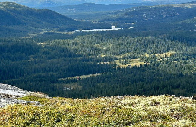 10 Person Holiday Home in Veggli-by Traum - Foto 21