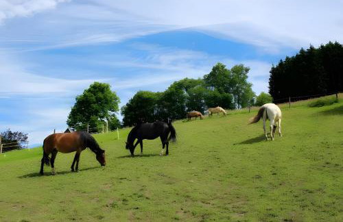 Bio Ferienbauernhof Voß - Foto 43