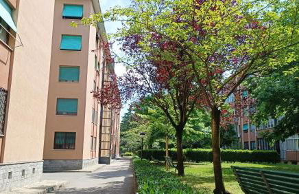 Yellow Submarine - Photo 33