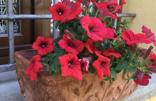 Agriturismo Flabeto - Foto 23