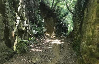 Astronomer Shepherd's hut - Foto 65
