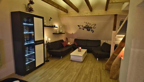 CATS Dreams - Photo 5