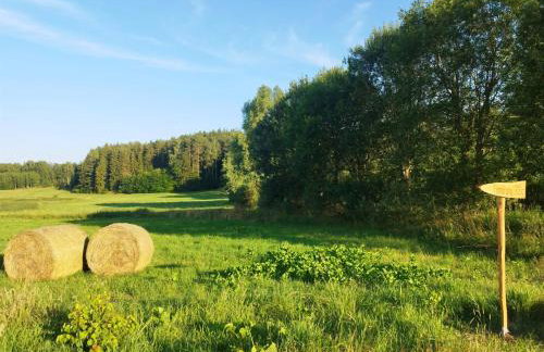 Ptasi Zakątek - Foto 16