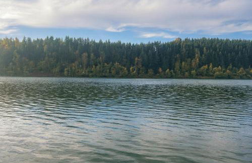 Brand New Rental Ohop Oasis! - Foto 36