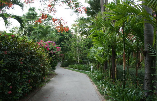 Palm Village - Foto 38