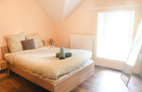 Le Regeau, Chatillon Coligny - Foto 8