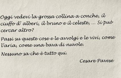 Il Sassello - Foto 47