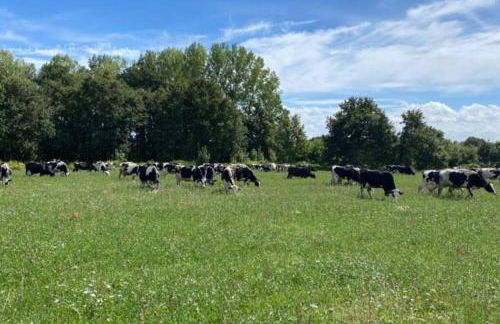 Gîte à la ferme de la Corbinais - Foto 11