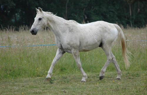 LE GRAND PARADIS - Foto 9