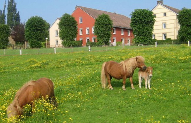 Bungalowpark Landsrade - Foto 10