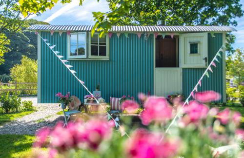 Gwithian Shepherds Hut - Foto 29