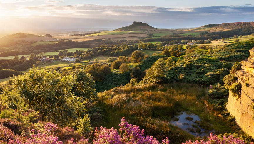 Excursión al Parque Nacional North York Moors y Whitby