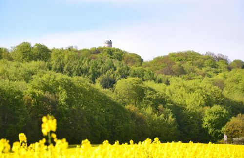 Cosy apartment for family in Sellin - Foto 39