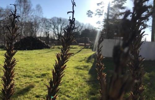 Das Haus am See - Foto 45