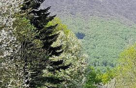 Studio apartman CENTAR - Foto 65