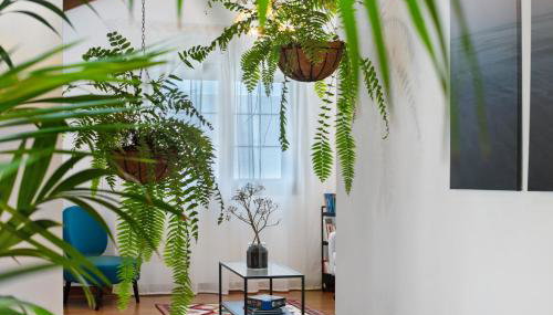 Villa Tahoyo - Foto 5