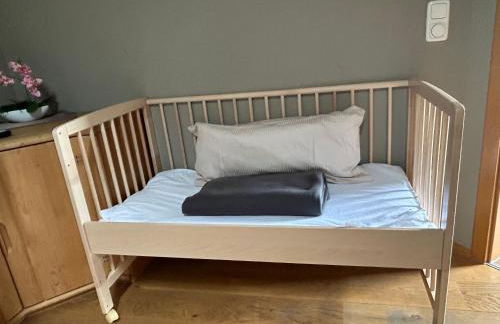 Apartment Roth - Foto 44