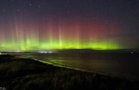 Martha's Inn Cresswell - Photo 20