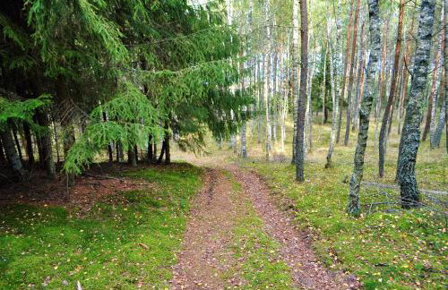 Leśne Zacisze domki letniskowe - Foto 36