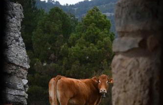 Casa Rural Haiku - Foto 28