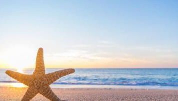 Biloxi Beach Condo-B - Photo 4