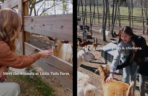 The Yurt at Paradise Pointe with a hot tub fire pit & Grill - Photo 24