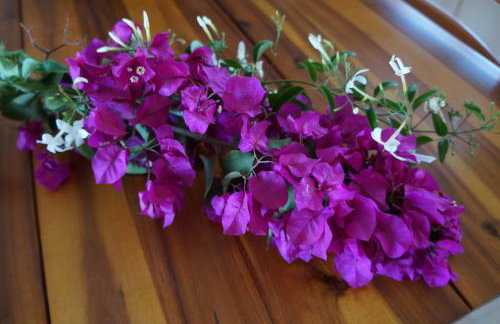 Irene's Maisonette at Rafaella Resort - Foto 35