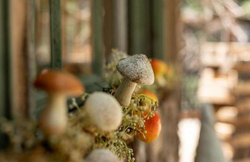 Hobbit Treehouse with waterfall on the Brazos River! 350 acres! Tubing! Petting zoo! - Foto 31