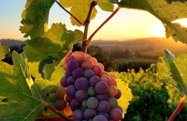 Le Cocon Margalais - Foto 12