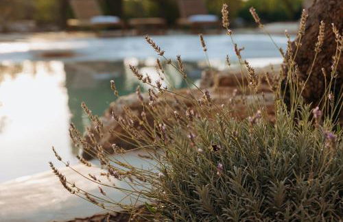 Trullo Amiura B&B - Foto 35