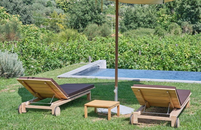 Monaci delle Terre Nere - Foto 68