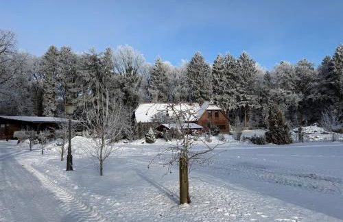 Ferienwohnung Dreyershof Land & Ruhe - Foto 28