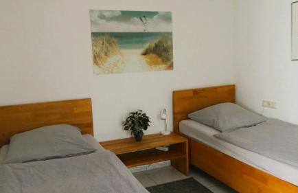 Kleiner Elefant - Foto 6