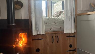 Shepherds hut, Eco, Log burner Hot tub NY moors - Foto 2