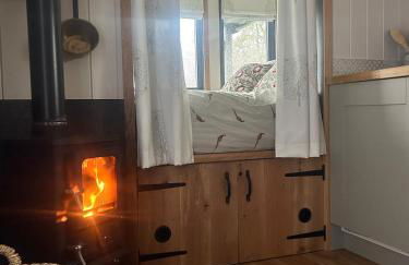 Shepherds hut, Eco, Log burner Hot tub NY moors - Foto 2