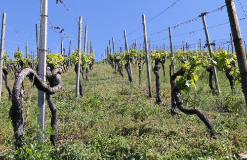 Klemmbachidyll - Photo 12