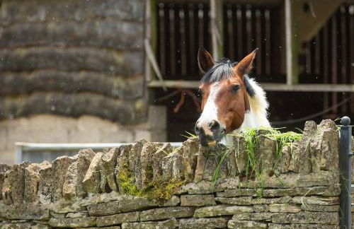 The Organic Cotswolds Cowshed - Photo 26