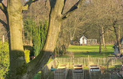 Little Lopsi - Foto 20