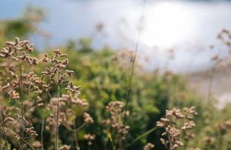 Villa Mare Nostrum Sounio - Foto 33