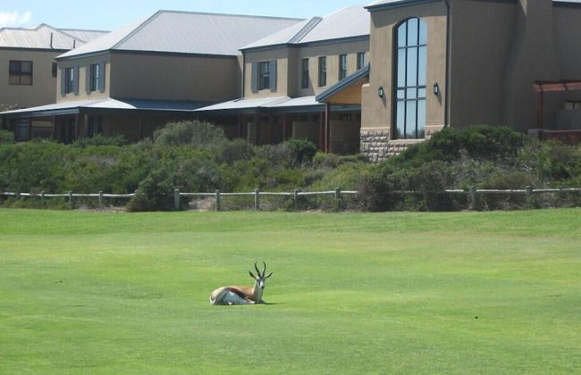 Lodge At Atlantic Beach - Foto 54