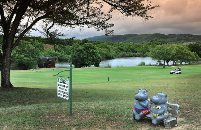 Kruger Park Lodge Unit 611 - Foto 27