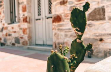 Aphrodite's Villa - Photo 11