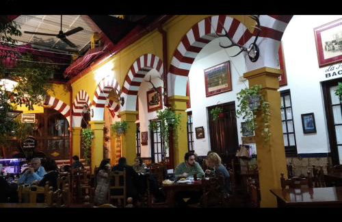 Golondrina - Foto 12