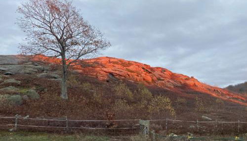 Vana Kuti-cabin in the woods - Foto 3