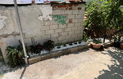 Pandeklare - Photo 24