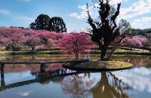 Natureza, paz no sítio - Foto 1