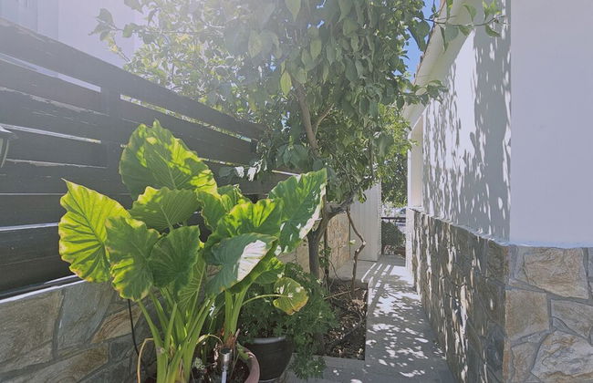 148 Lim- Stay Synergy House - Photo 31