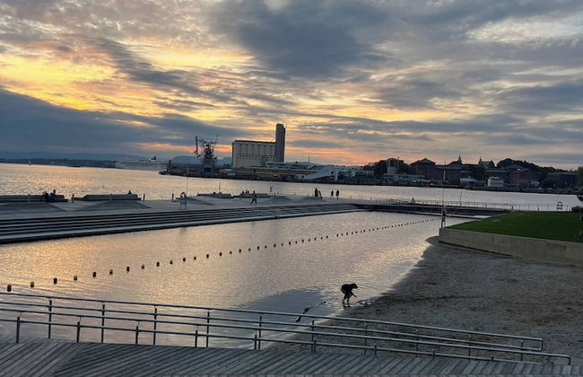 Stylish Seaview 4 Beds Central Apartment Sorenga - Photo 47