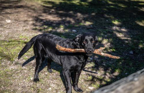 Bosc del Meneghì - Foto 51